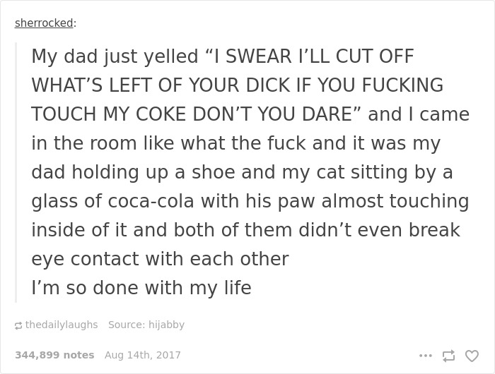 136 Cat Posts On Tumblr That Are Impossible Not To Laugh At