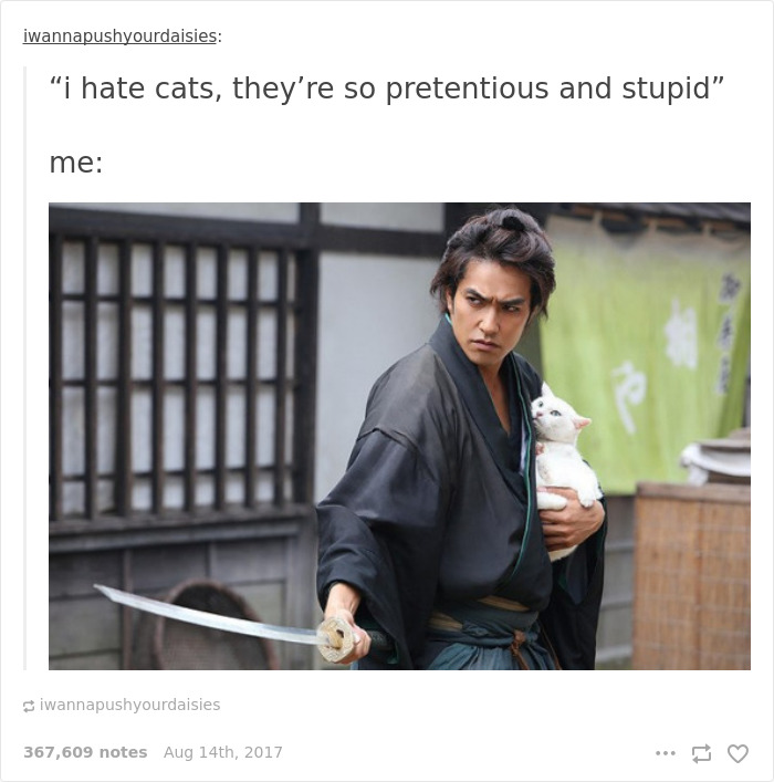 136 Cat Posts On Tumblr That Are Impossible Not To Laugh At