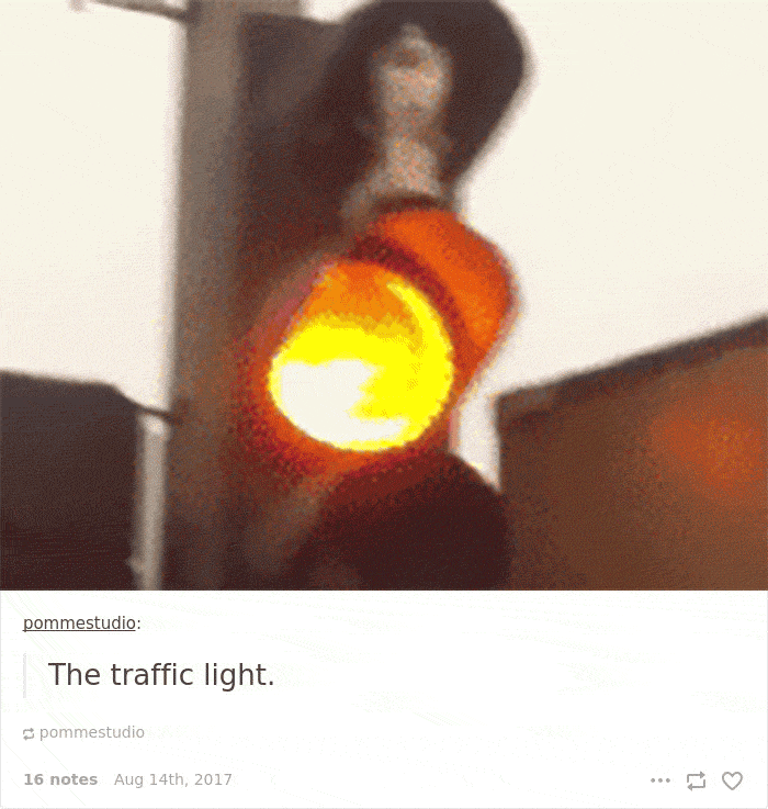 136 Cat Posts On Tumblr That Are Impossible Not To Laugh At