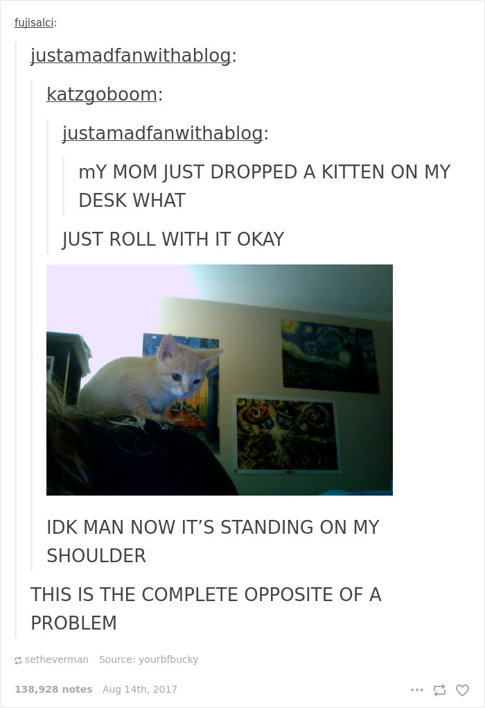 136 Cat Posts On Tumblr That Are Impossible Not To Laugh At