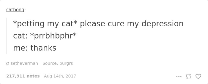 136 Cat Posts On Tumblr That Are Impossible Not To Laugh At