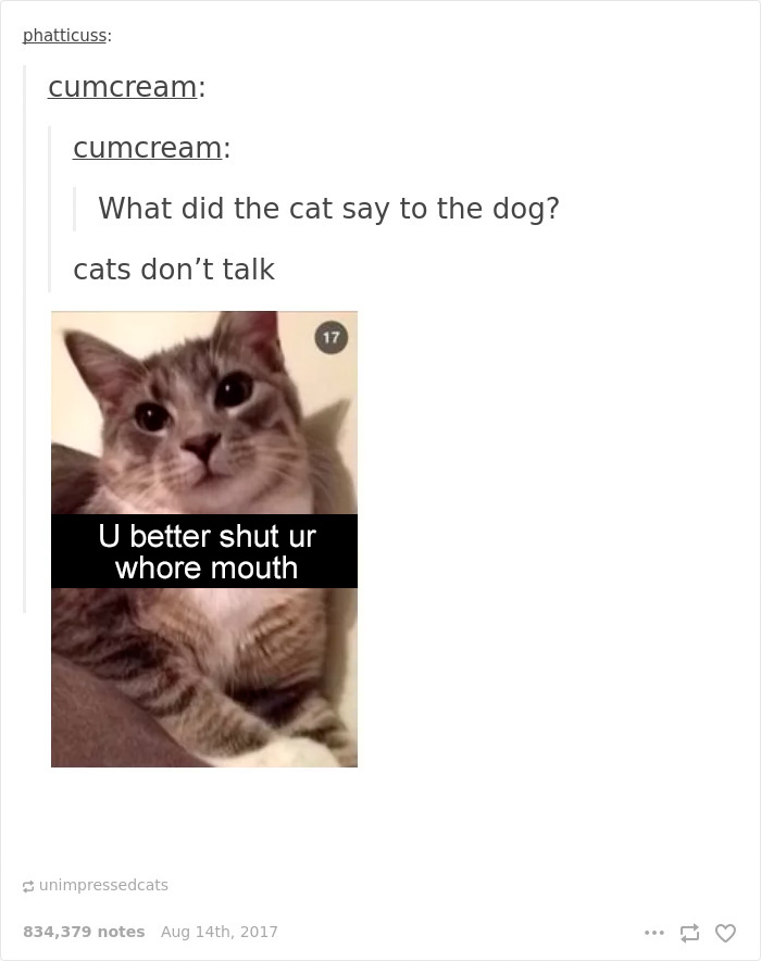 136 Cat Posts On Tumblr That Are Impossible Not To Laugh At