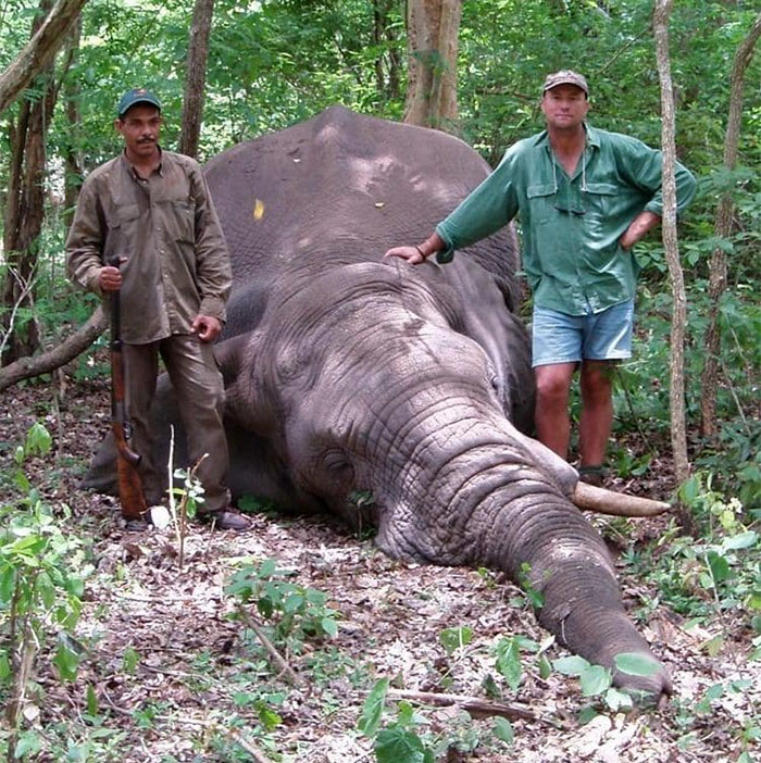Big Game Hunter Gets Killed By Elephant He Was Trying To Shoot, And Here&#8217;s How Internet Reacts