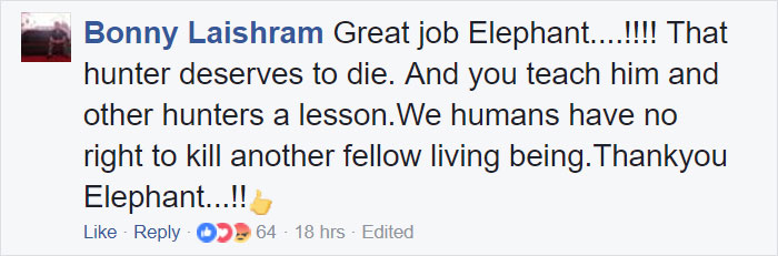 Big Game Hunter Gets Killed By Elephant He Was Trying To Shoot, And Here&#8217;s How Internet Reacts