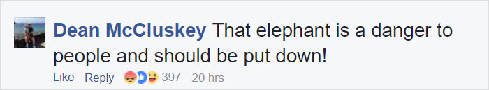 Big Game Hunter Gets Killed By Elephant He Was Trying To Shoot, And Here&#8217;s How Internet Reacts