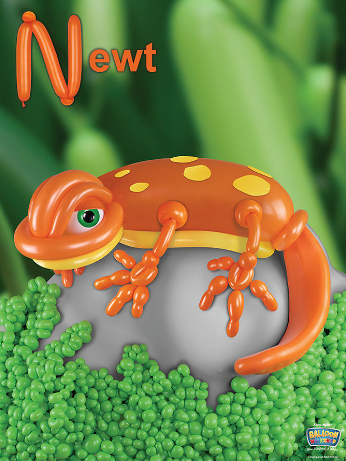 I Created Kid&#8217;s Abc Book With  Balloon Animals Like You&#8217;ve Never Seen (26 Images)