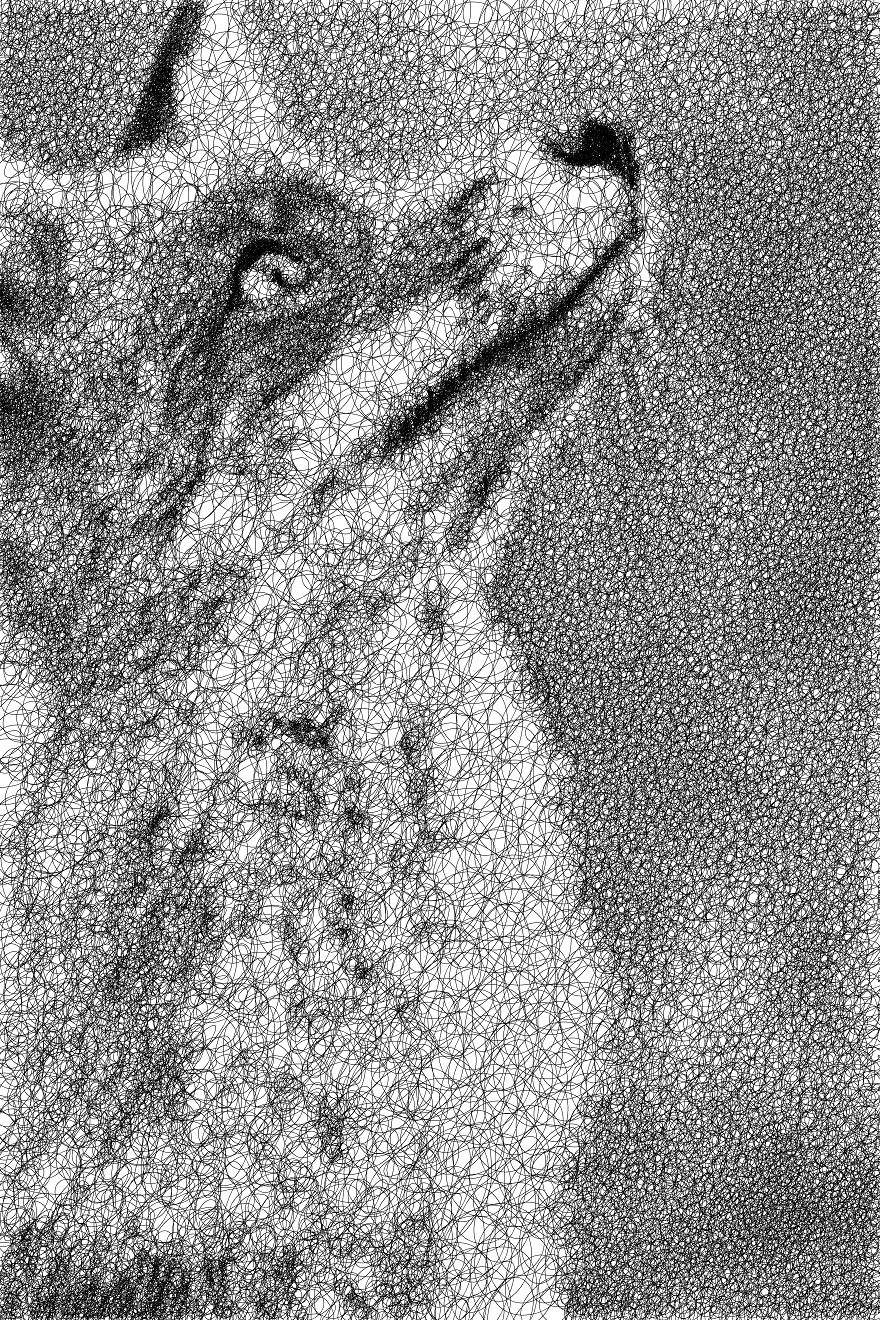 I Wrote An Algorithm That Scribbles Drawings Using A Single Line I Wrote An Algorithm That Scribbles Drawings Using A Single Line