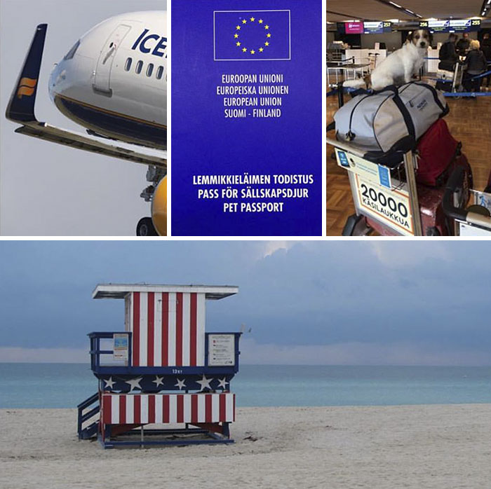 Puppy Explored 24 Countries And Is Hungry For More