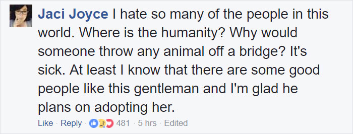 Somebody Apparently Threw This Cat Off The Bridge, But Luckily This Boat Captain Spotted Her Somebody Apparently Threw This Cat Off The Bridge, But Luckily This Boat Captain Spotted Her
