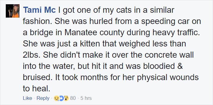 Somebody Apparently Threw This Cat Off The Bridge, But Luckily This Boat Captain Spotted Her Somebody Apparently Threw This Cat Off The Bridge, But Luckily This Boat Captain Spotted Her