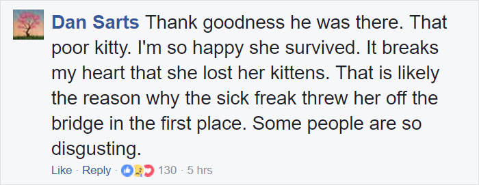 Somebody Apparently Threw This Cat Off The Bridge, But Luckily This Boat Captain Spotted Her Somebody Apparently Threw This Cat Off The Bridge, But Luckily This Boat Captain Spotted Her