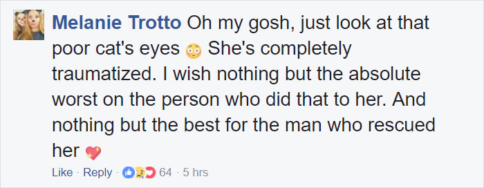 Somebody Apparently Threw This Cat Off The Bridge, But Luckily This Boat Captain Spotted Her Somebody Apparently Threw This Cat Off The Bridge, But Luckily This Boat Captain Spotted Her