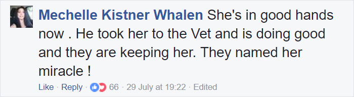 Somebody Apparently Threw This Cat Off The Bridge, But Luckily This Boat Captain Spotted Her Somebody Apparently Threw This Cat Off The Bridge, But Luckily This Boat Captain Spotted Her