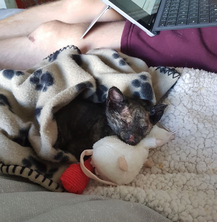 Neighbors Extinguishing Backyard Fire Suddenly Hear Cries For Help, And Here’s What They Find (Graphic Content) Neighbors Extinguishing Backyard Fire Suddenly Hear Cries For Help, And Here’s What They Find (Graphic Content)