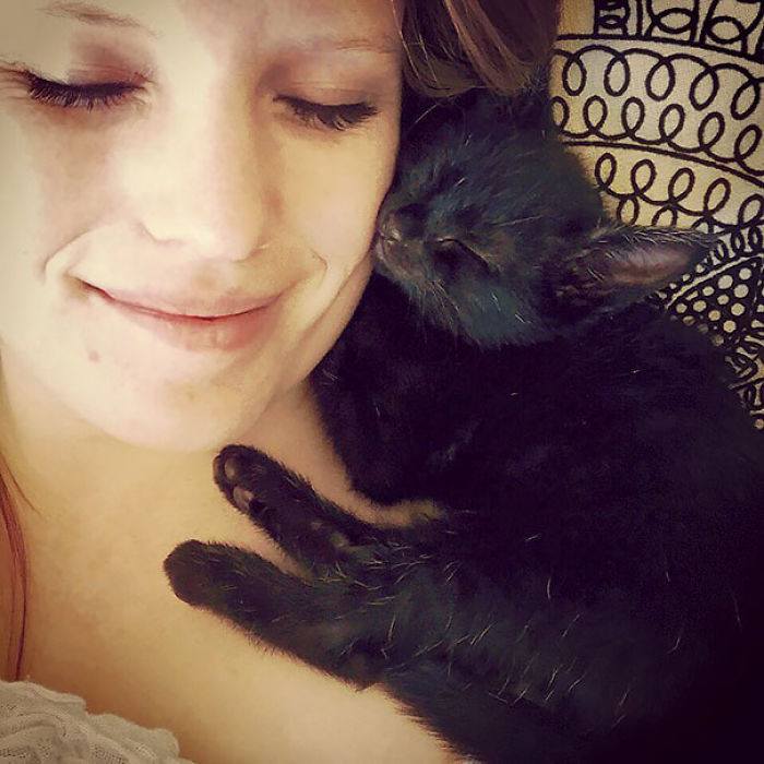 50 Of The Funniest I Woke Up To This” Moments That Have Ever Happened To Pet Owners” 50 Of The Funniest I Woke Up To This” Moments That Have Ever Happened To Pet Owners”