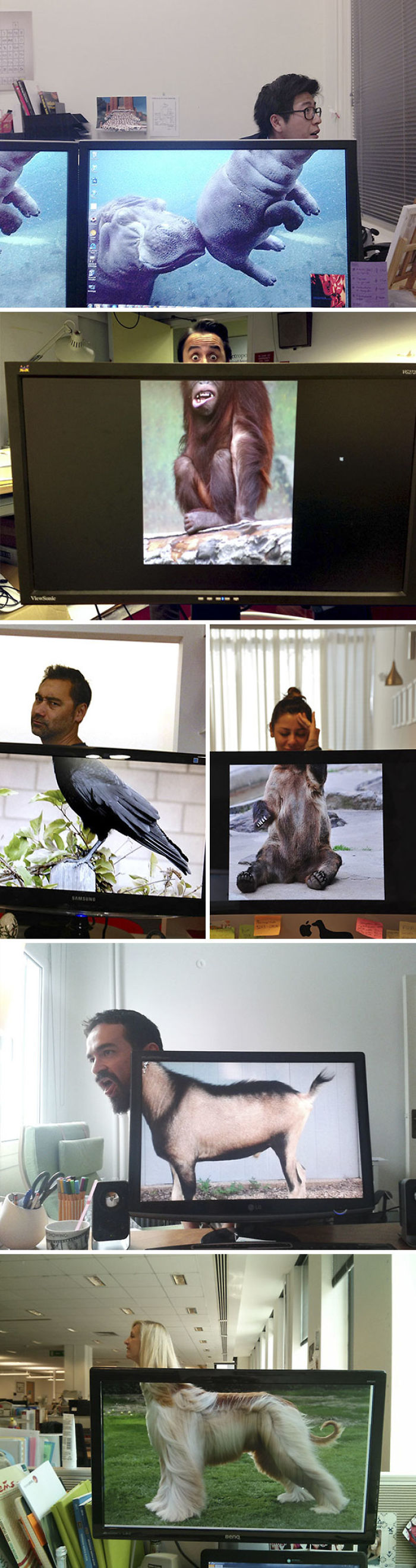 50 Funny Pics That Perfectly Sum Up Office Life