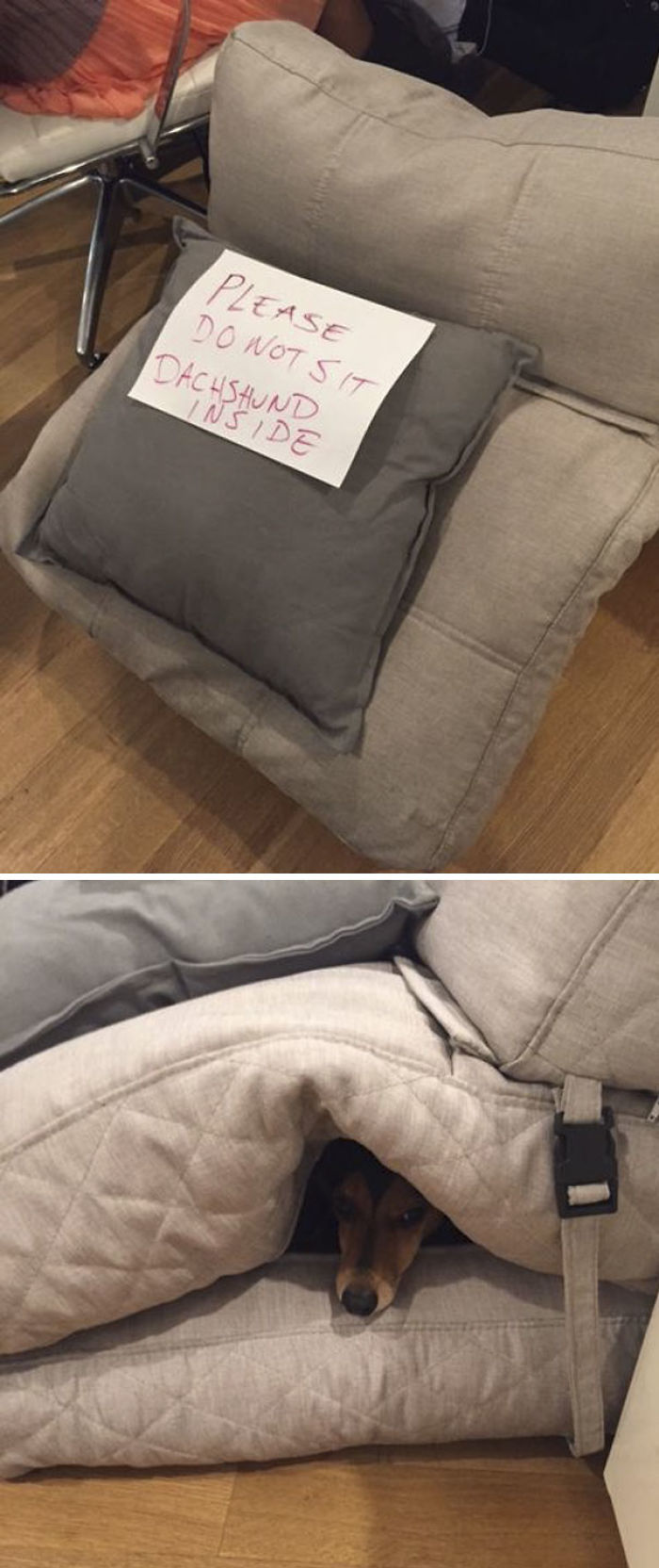 50 Funny Pics That Perfectly Sum Up Office Life