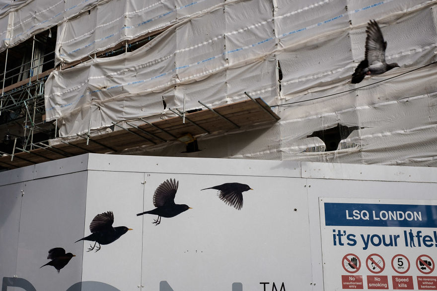 100 Finalists Of The World’s Largest Photography Competition