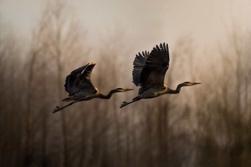100 Finalists Of The World’s Largest Photography Competition