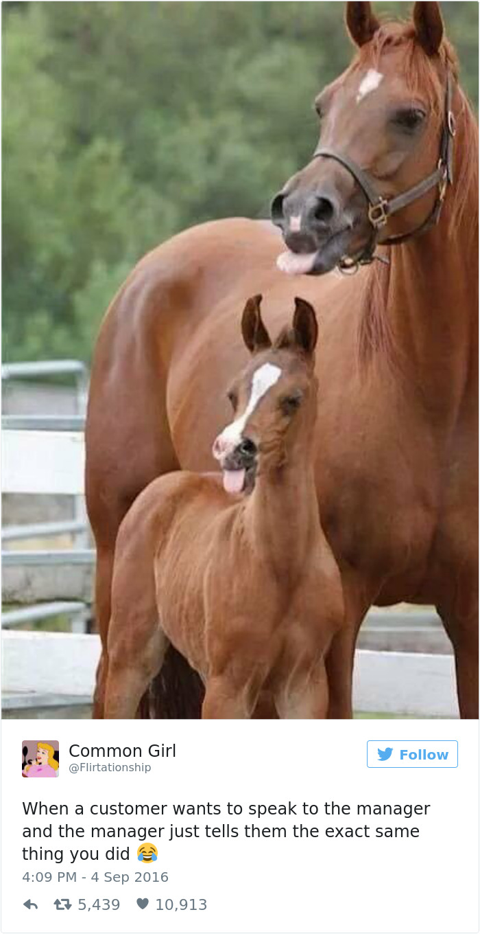 40 Funny Memes About Work That You Shouldn’t Be Reading At Work 40 Funny Memes About Work That You Shouldn’t Be Reading At Work