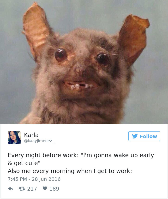 40 Funny Memes About Work That You Shouldn’t Be Reading At Work 40 Funny Memes About Work That You Shouldn’t Be Reading At Work