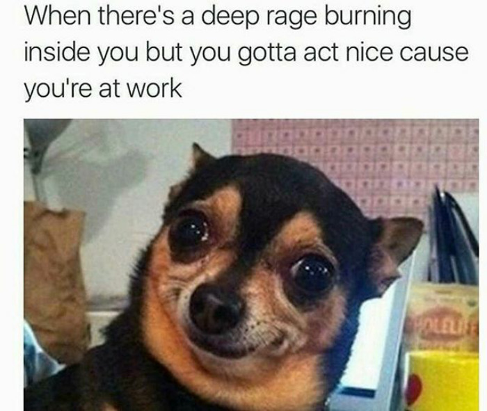 40 Funny Memes About Work That You Shouldn’t Be Reading At Work 40 Funny Memes About Work That You Shouldn’t Be Reading At Work