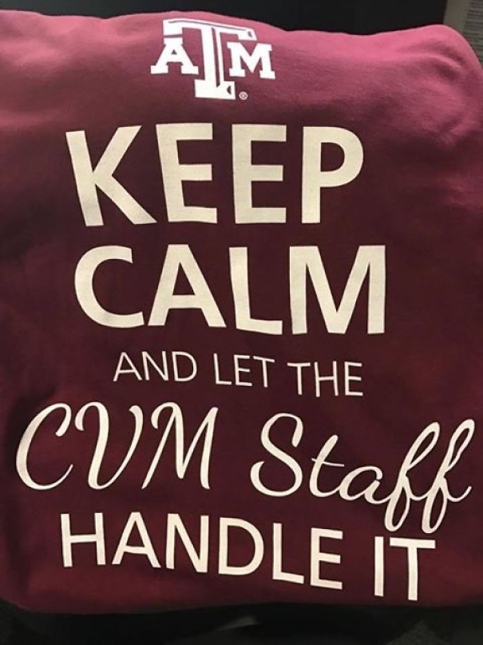 155 Epic Clothing Disasters