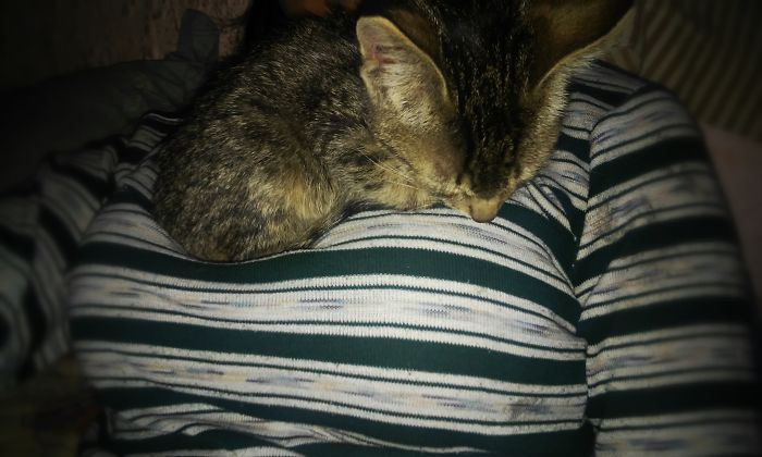 If It Fits, I Sits: Post Your Photos Of Cats Fitting Into The Tightest Spaces