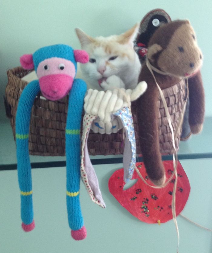 If It Fits, I Sits: Post Your Photos Of Cats Fitting Into The Tightest Spaces