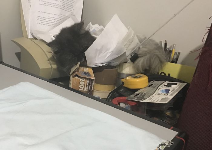 If It Fits, I Sits: Post Your Photos Of Cats Fitting Into The Tightest Spaces