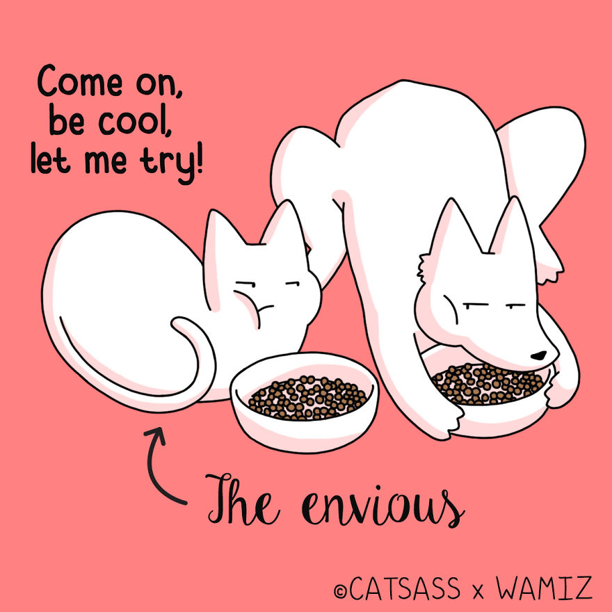 What Kind Of Eater Is Your Cat? What Kind Of Eater Is Your Cat?