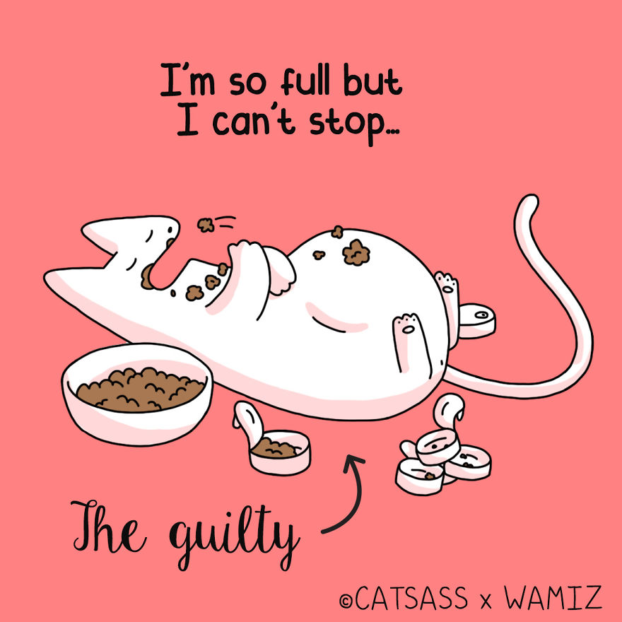 What Kind Of Eater Is Your Cat?