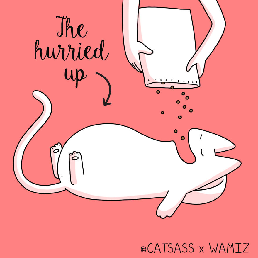 What Kind Of Eater Is Your Cat? What Kind Of Eater Is Your Cat?