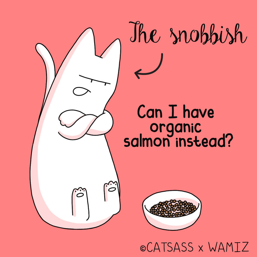 What Kind Of Eater Is Your Cat? What Kind Of Eater Is Your Cat?