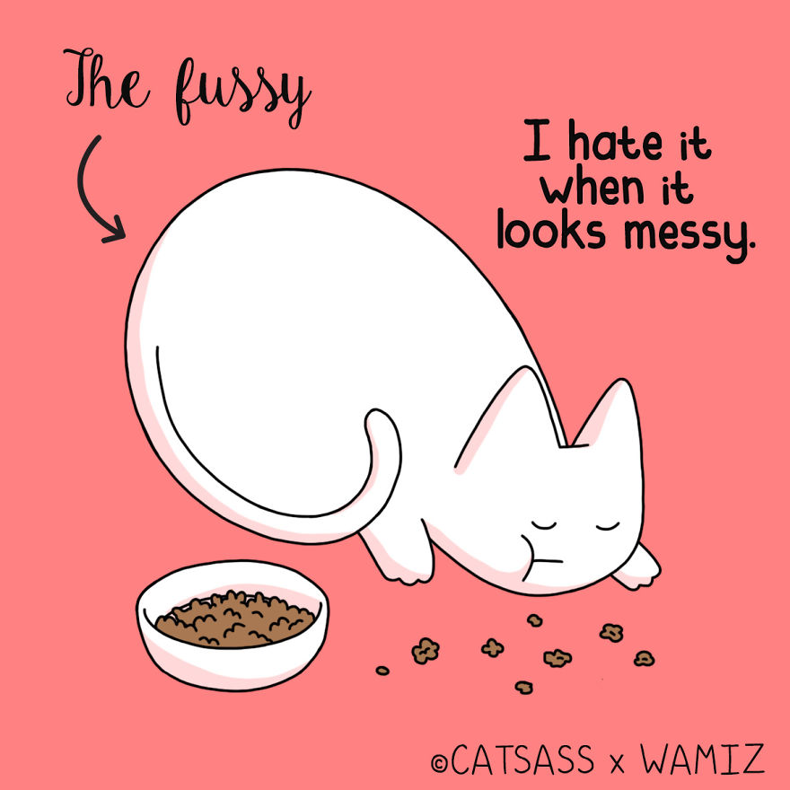 What Kind Of Eater Is Your Cat? What Kind Of Eater Is Your Cat?