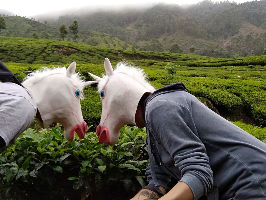 Unicorns Traveling In Asia Unicorns Traveling In Asia