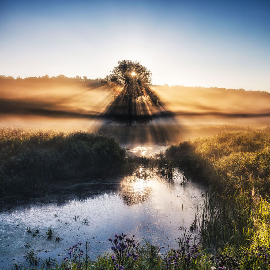 My Misty Fairy Land In Poland My Misty Fairy Land In Poland