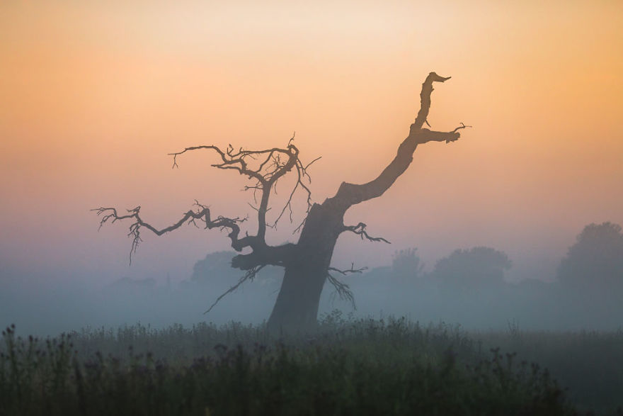 My Misty Fairy Land In Poland My Misty Fairy Land In Poland