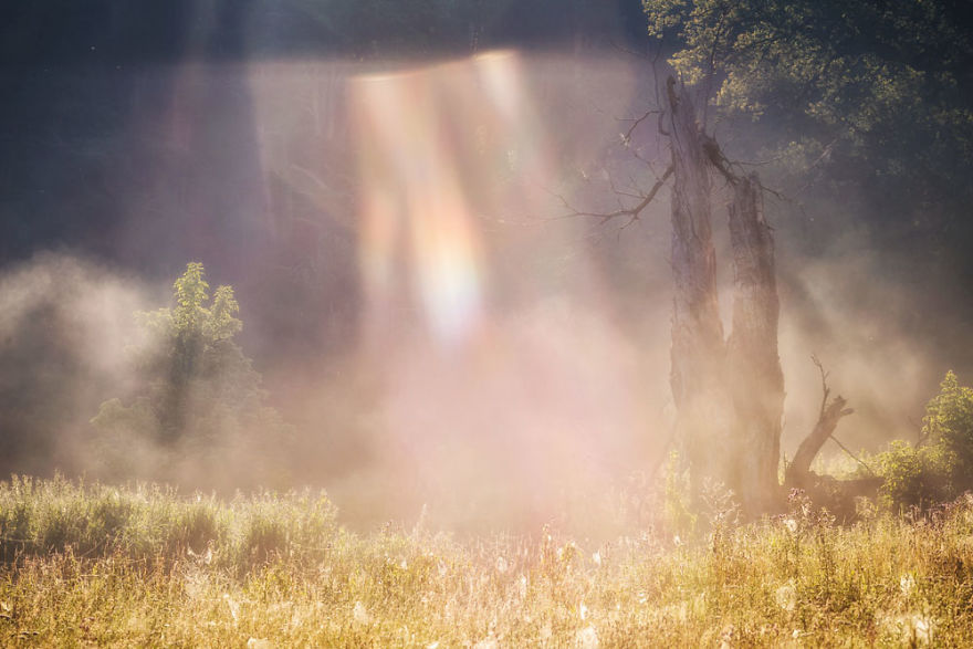 My Misty Fairy Land In Poland My Misty Fairy Land In Poland