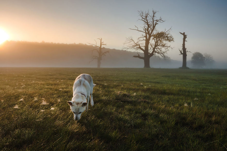 My Misty Fairy Land In Poland My Misty Fairy Land In Poland
