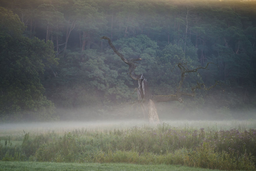 My Misty Fairy Land In Poland My Misty Fairy Land In Poland