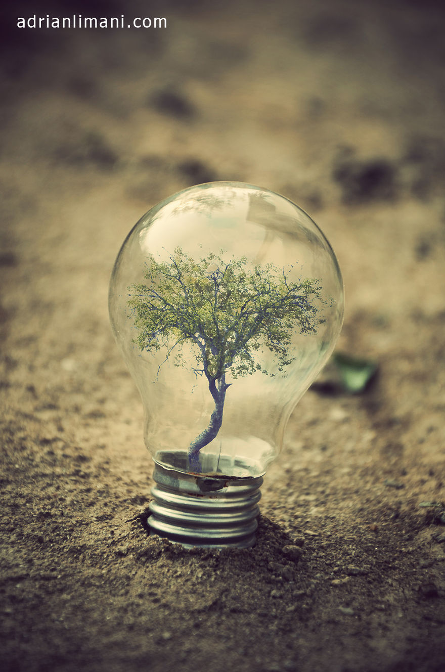 My Photo Project ‘Life Inside A Light Bulb’ My Photo Project ‘Life Inside A Light Bulb’