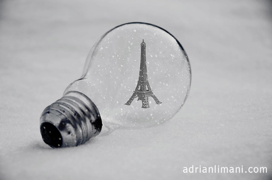 My Photo Project ‘Life Inside A Light Bulb’ My Photo Project ‘Life Inside A Light Bulb’