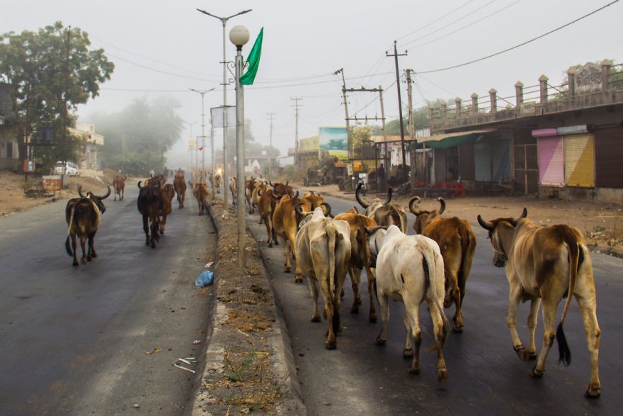 Home Is Where Heart Is Home Is Where Heart Is