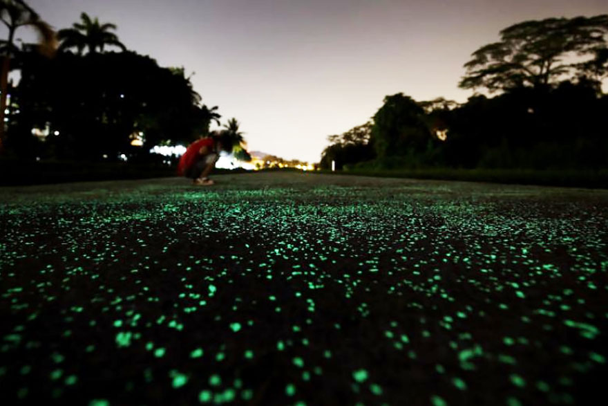 Singapore Is Testing Glow-In-The Dark Paths, And It&#8217;s A Really Bright Idea