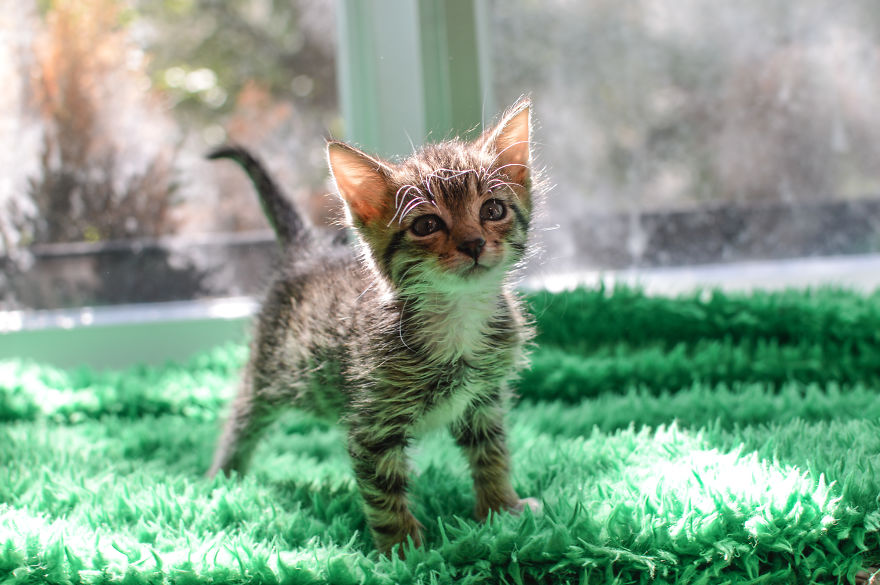 Unusual Photo Exhibition At The Eclair Cafe In Riga Unusual Photo Exhibition At The Eclair Cafe In Riga