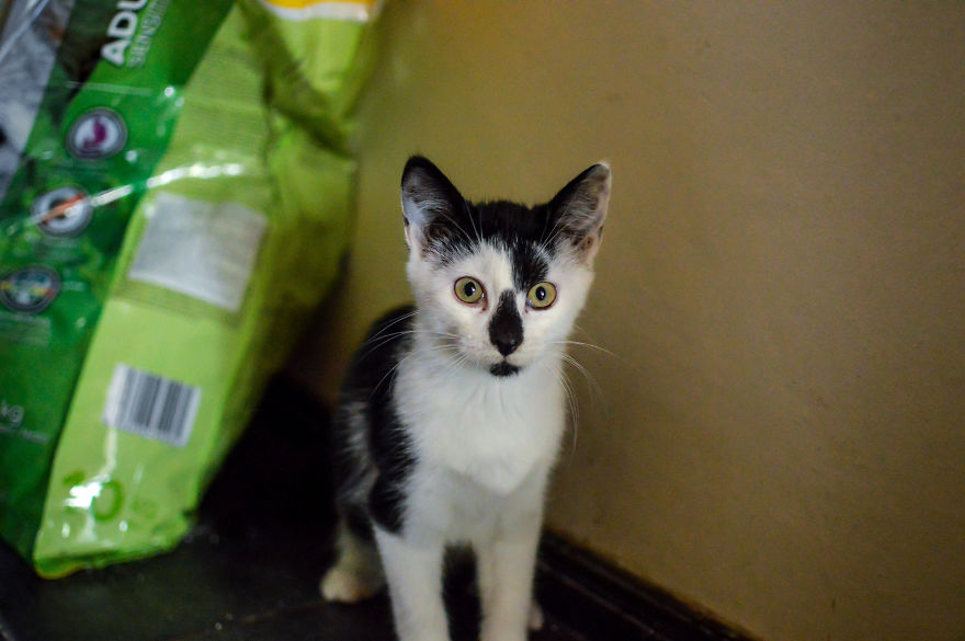 Unusual Photo Exhibition At The Eclair Cafe In Riga Unusual Photo Exhibition At The Eclair Cafe In Riga