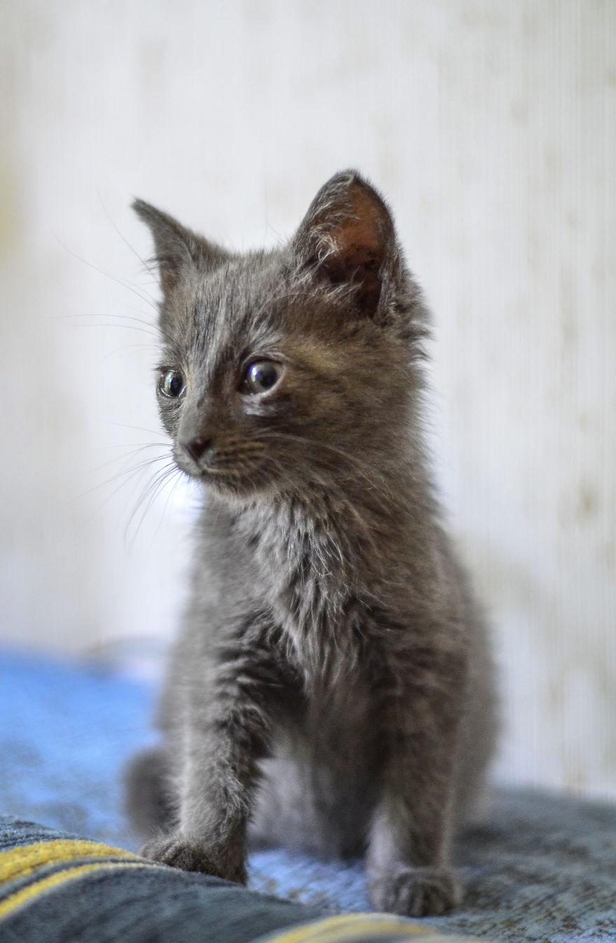 Unusual Photo Exhibition At The Eclair Cafe In Riga Unusual Photo Exhibition At The Eclair Cafe In Riga