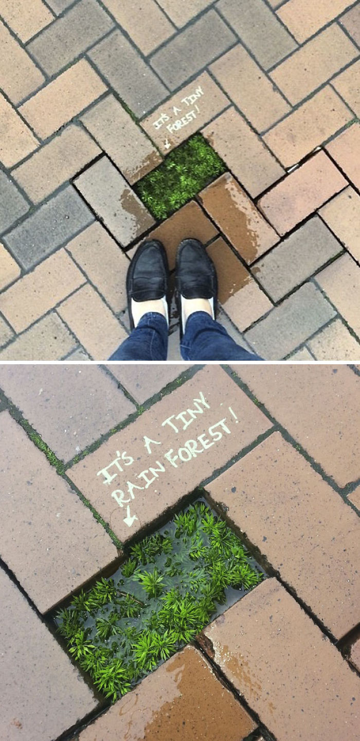 30 Random Acts Of Genius Vandalism