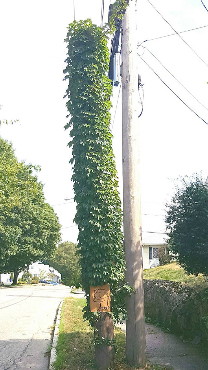 30 Random Acts Of Genius Vandalism